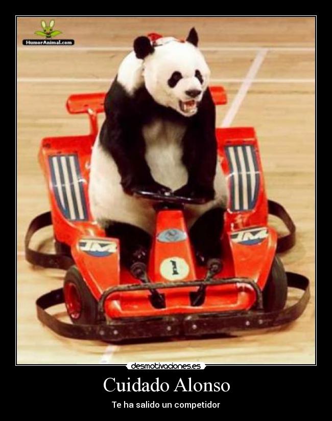 carteles oso desmotivaciones