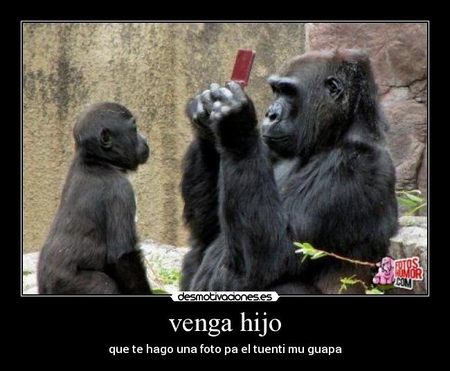 venga hijo - 
