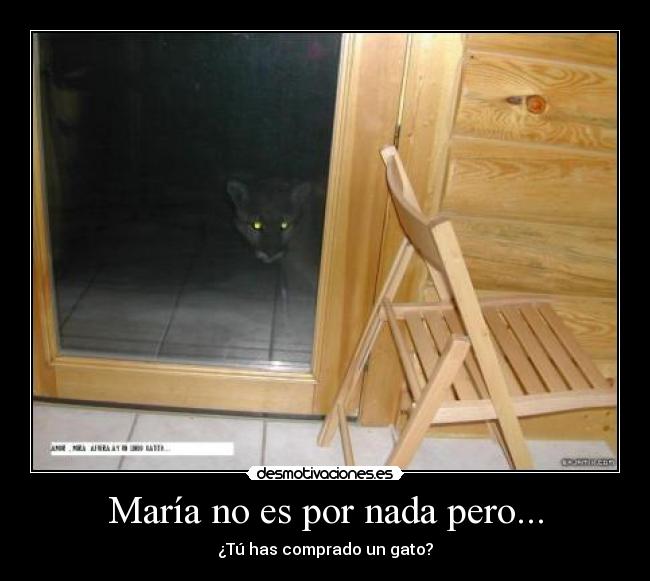 María no es por nada pero... - 