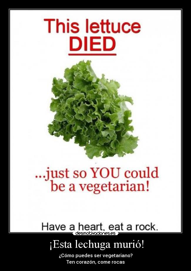 ¡Esta lechuga murió! - 