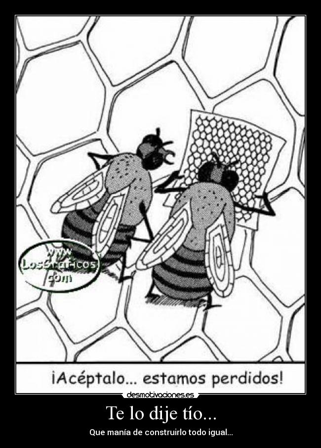 carteles kisco2323 desmotivaciones