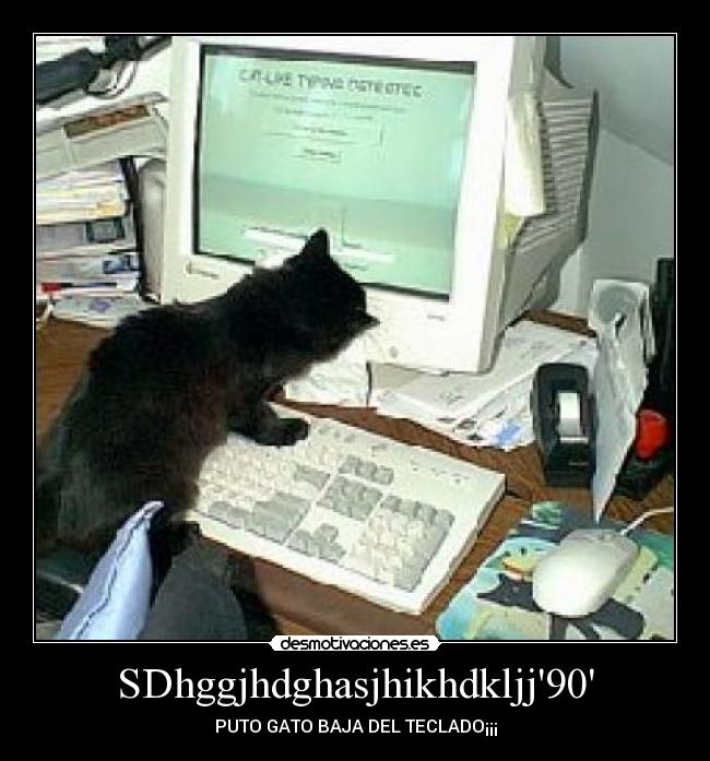 SDhggjhdghasjhikhdkljj90 - 