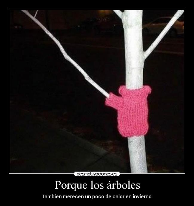 Porque los árboles - 