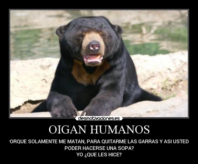 OIGAN HUMANOS -