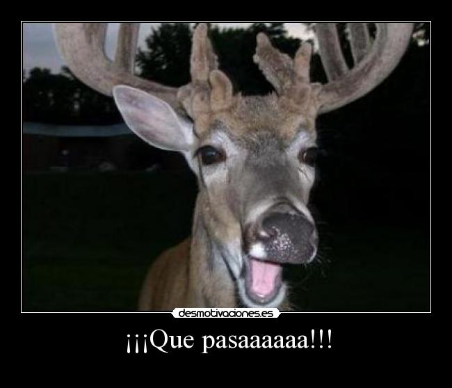 ¡¡¡Que pasaaaaaa!!! -