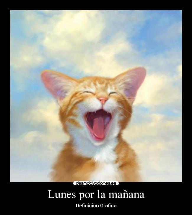 Lunes por la mañana - 