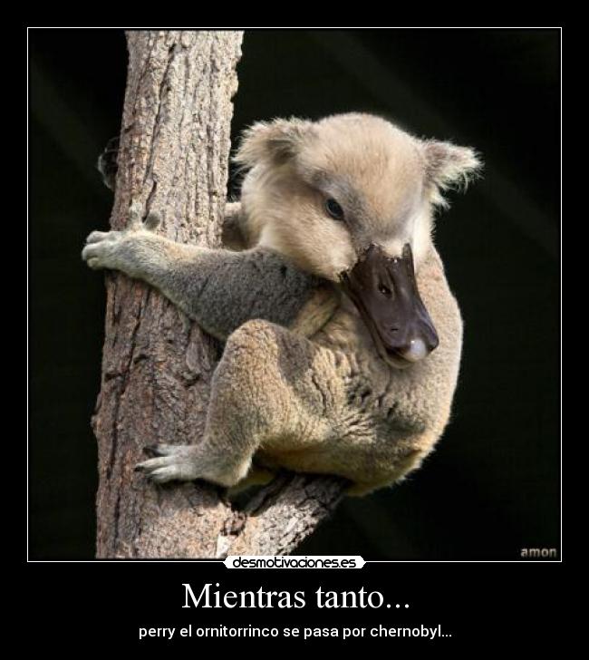Mientras tanto... - perry el ornitorrinco se pasa por chernobyl...