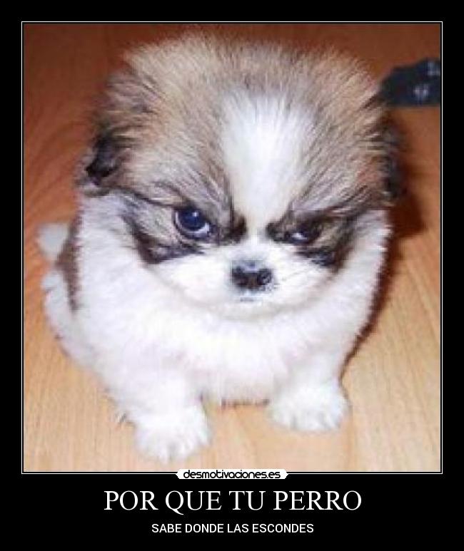 carteles miradas desmotivaciones