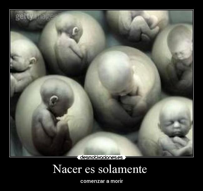 carteles enana23 desmotivaciones