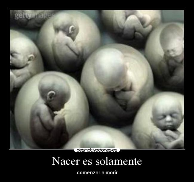 Nacer es solamente -