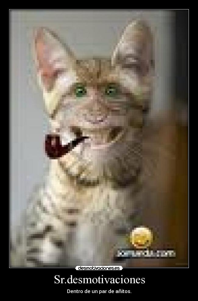 Sr.desmotivaciones -