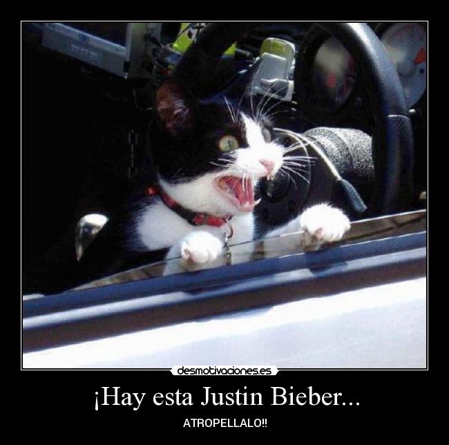 ¡Hay esta Justin Bieber... - ATROPELLALO!!