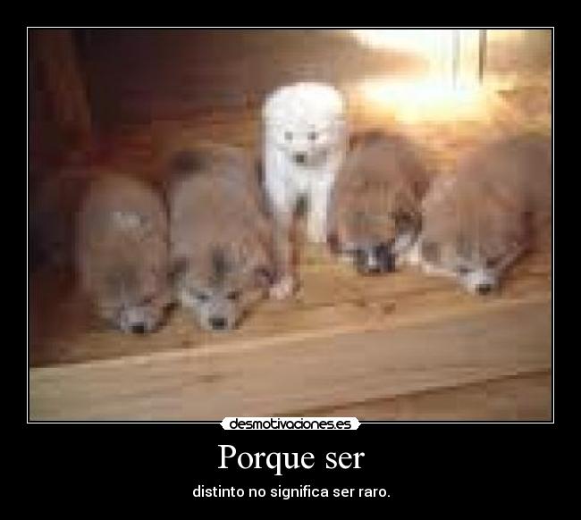 Porque ser - distinto no significa ser raro.