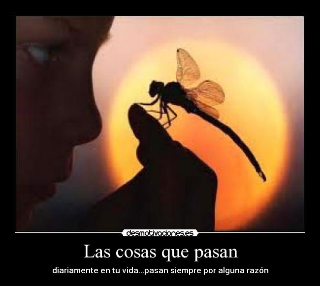 carteles enana23 desmotivaciones