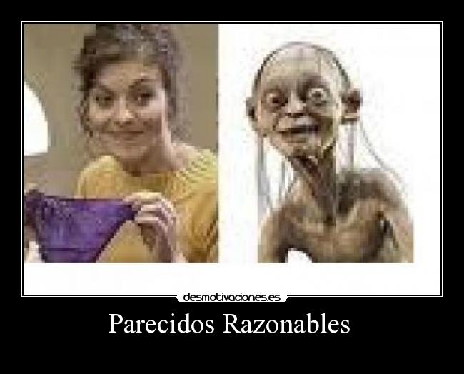 Parecidos Razonables -