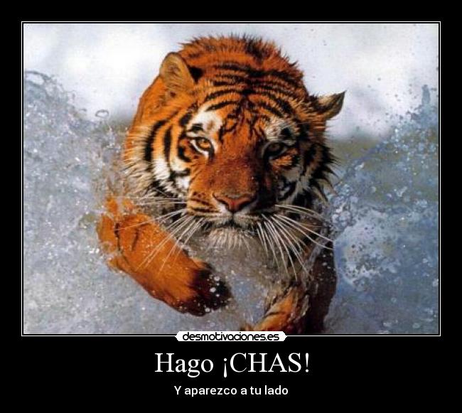 Hago ¡CHAS! - 