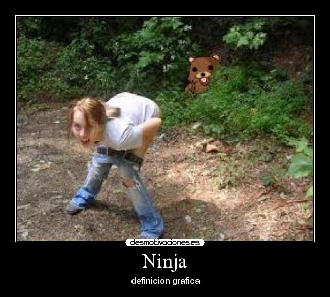 Ninja - definicion grafica