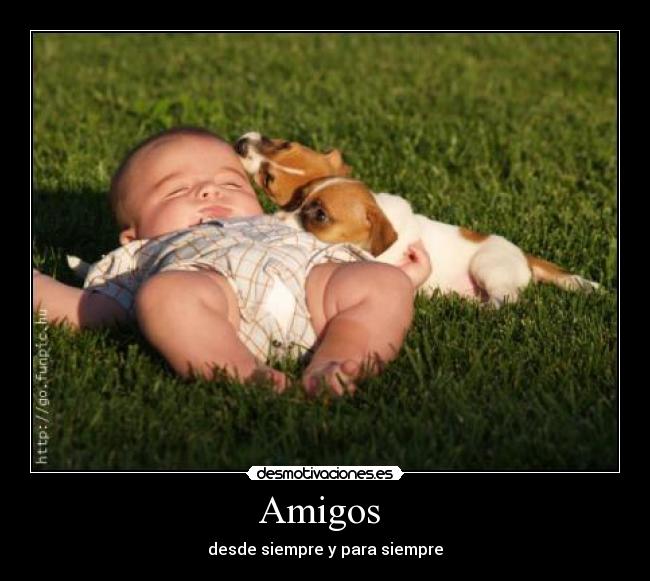 Amigos -