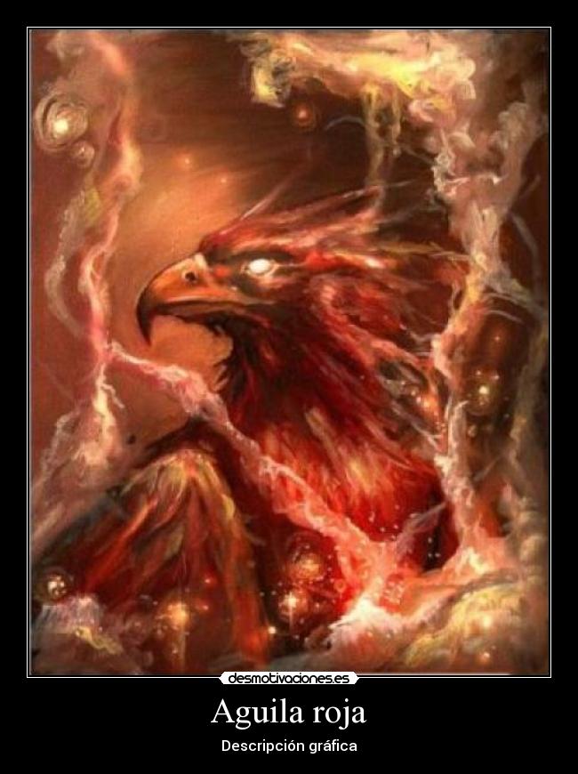 Aguila roja - Descripción gráfica