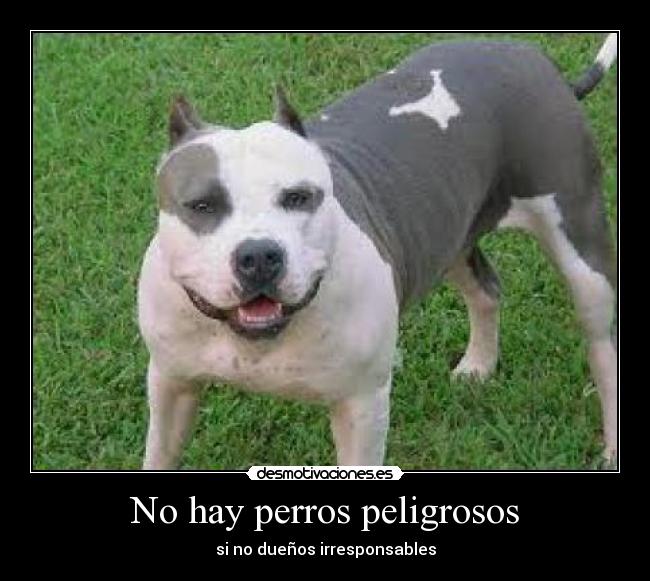 carteles enana23 desmotivaciones