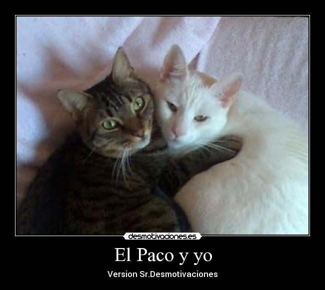 El Paco y yo - Version Sr.Desmotivaciones