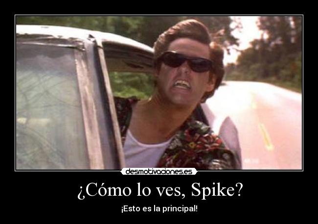 ¿Cómo lo ves, Spike? -