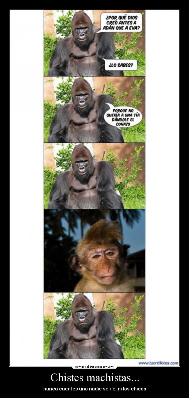 Chistes machistas... - nunca cuentes uno nadie se ríe, ni los chicos