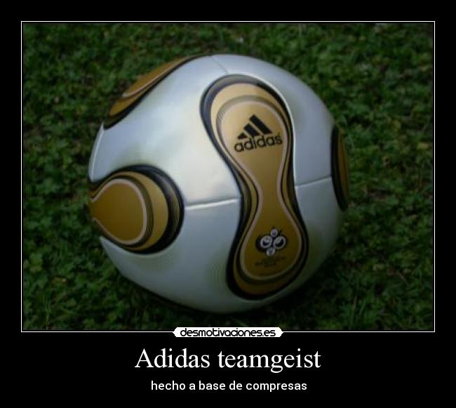 Adidas teamgeist -