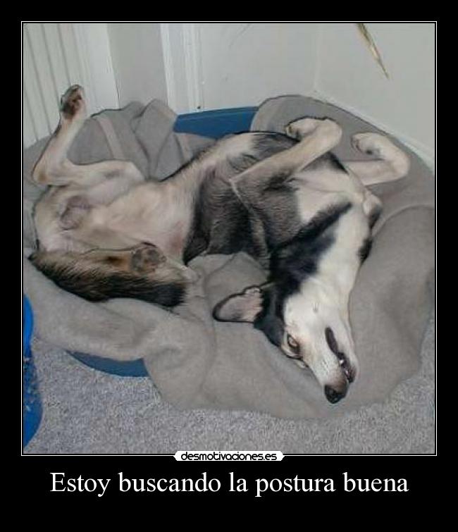 Estoy buscando la postura buena -