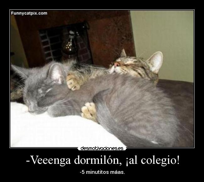 -Veeenga dormilón, ¡al colegio! - -5 minutitos máas.