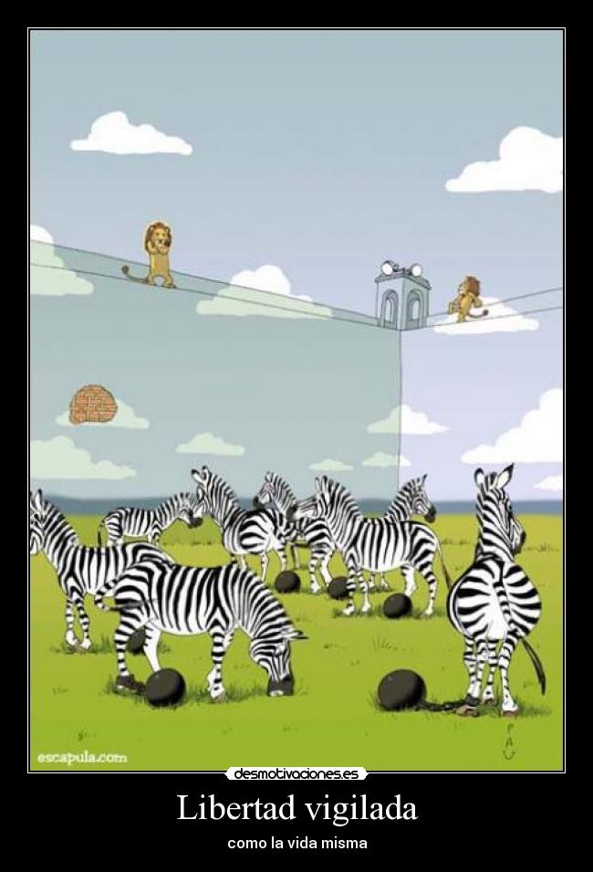 Libertad vigilada - como la vida misma