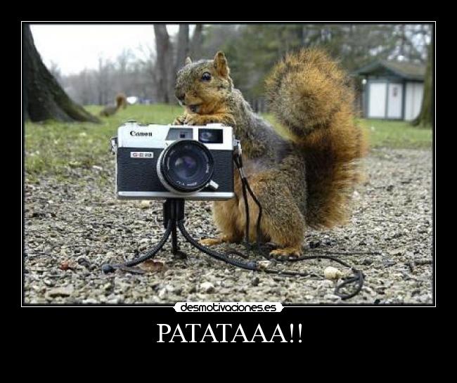 PATATAAA!! -