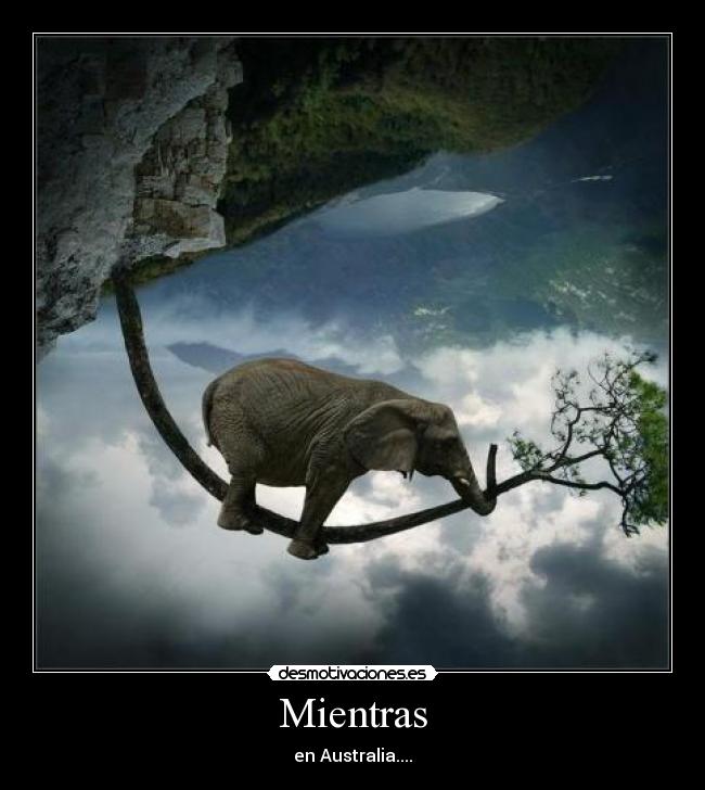 Mientras - en Australia....