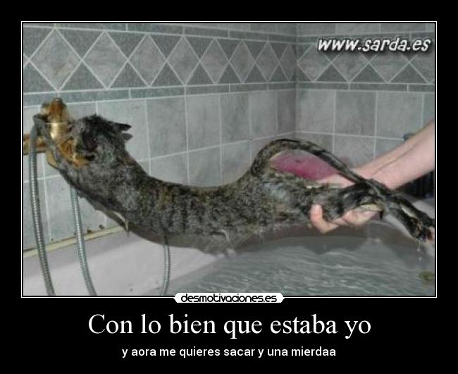 Con lo bien que estaba yo - y aora me quieres sacar y una mierdaa