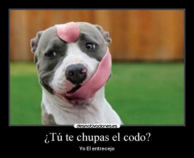 ¿Tú te chupas el codo? - Yo El entrecejo