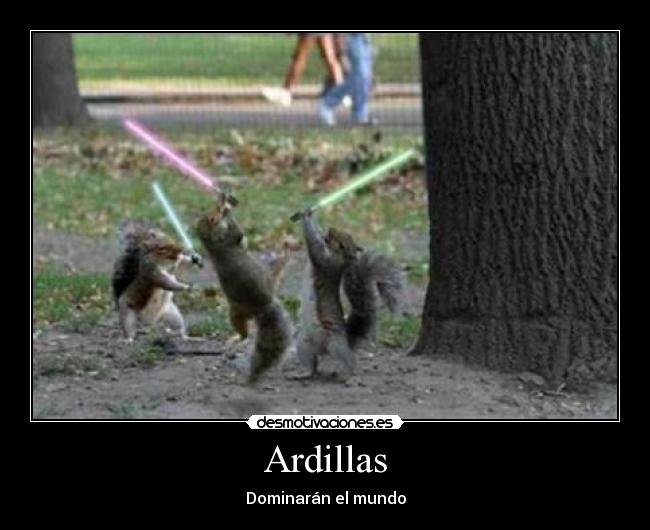 Ardillas - Dominarán el mundo