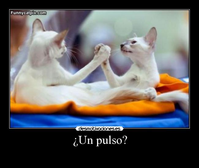 ¿Un pulso? -