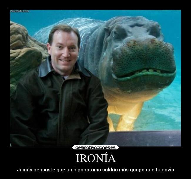 IRONÍA - 