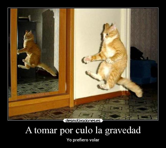 A tomar por culo la gravedad - 