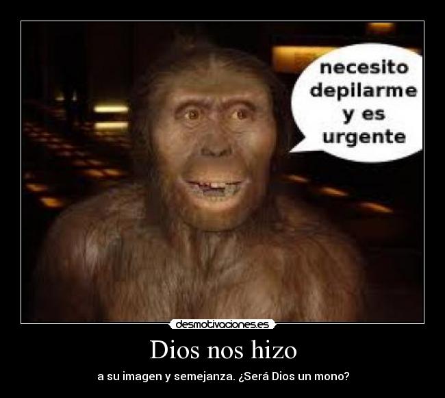 Dios nos hizo - a su imagen y semejanza. ¿Será Dios un mono?