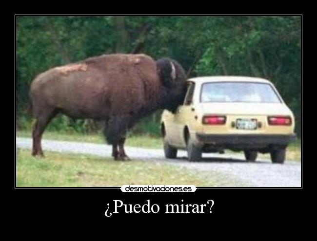 ¿Puedo mirar? -
