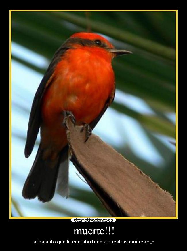 muerte!!! -