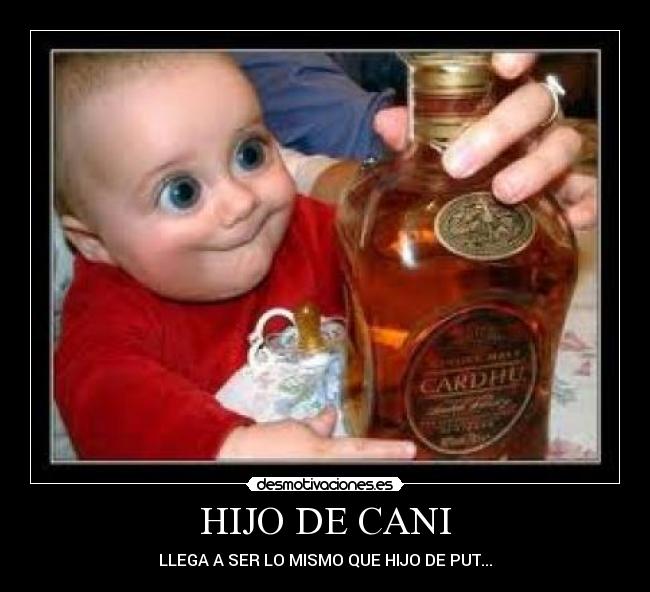 HIJO DE CANI - LLEGA A SER LO MISMO QUE HIJO DE PUT...