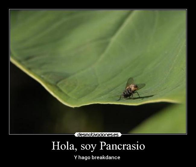 Hola, soy Pancrasio - Y hago breakdance 