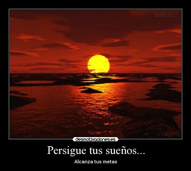 Persigue tus sueños... - 