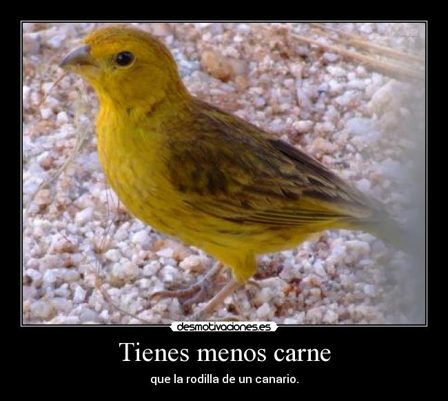Tienes menos carne -