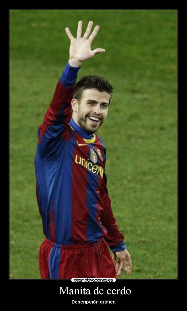 Manita de cerdo - Descripción gráfica