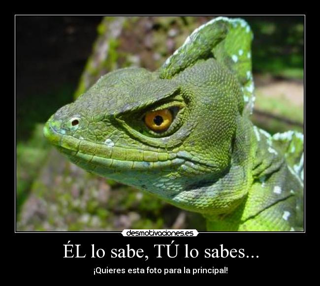 ÉL lo sabe, TÚ lo sabes... -