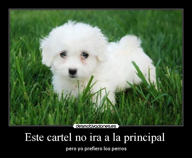 Este cartel no ira a la principal  - 