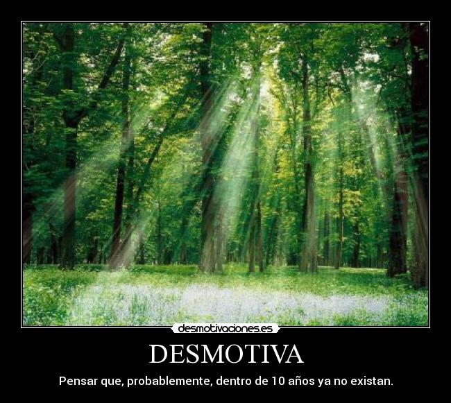 DESMOTIVA - 